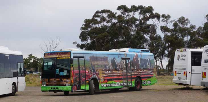 Rockleigh Tours Volvo B10M Austral Metroliner BS02DX